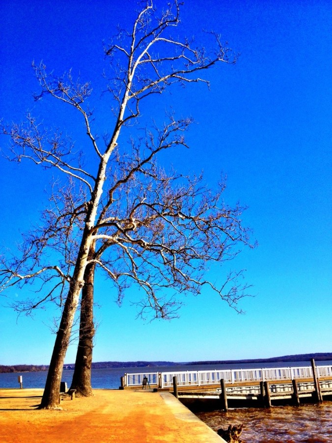 Mt. Vernon - 2013 © stephanie l brown 